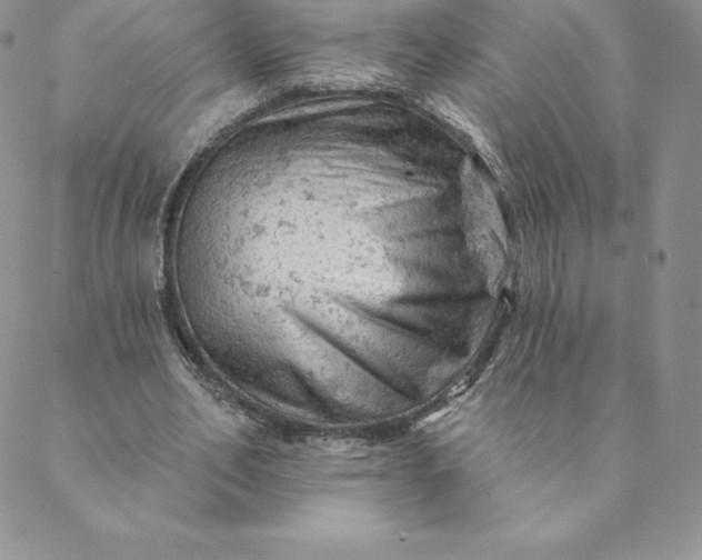 X0000088650582200706081640