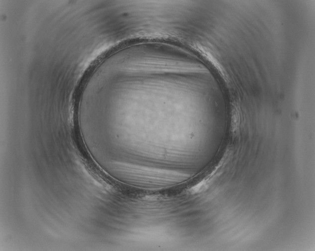 X0000088650584200706081640