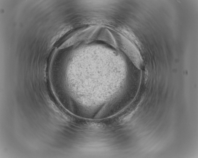 X0000088650585200706081640