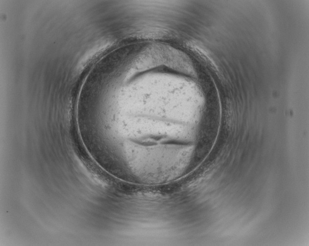 X0000088650586200706081640