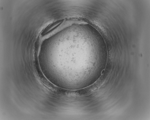 X0000088650587200706081640