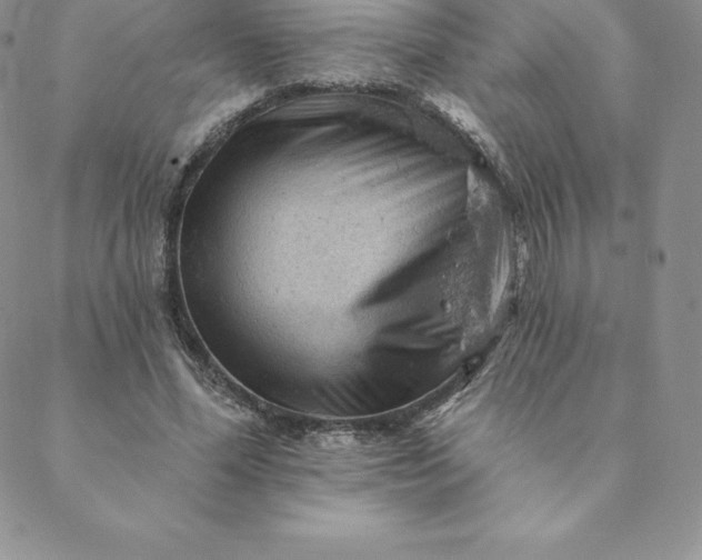 X0000088650588200706081640