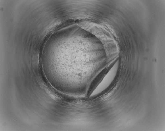 X0000088650589200706081640