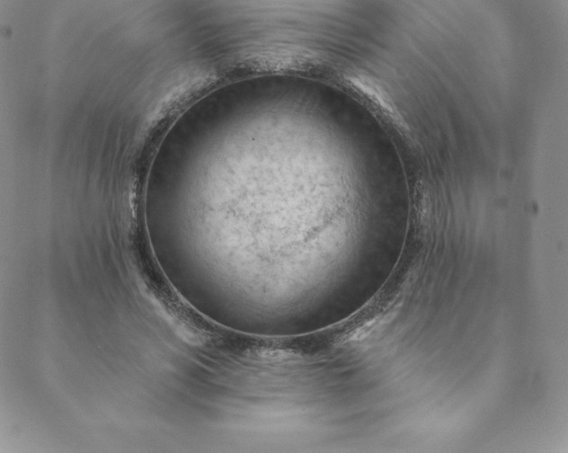 X0000088650590200706081640