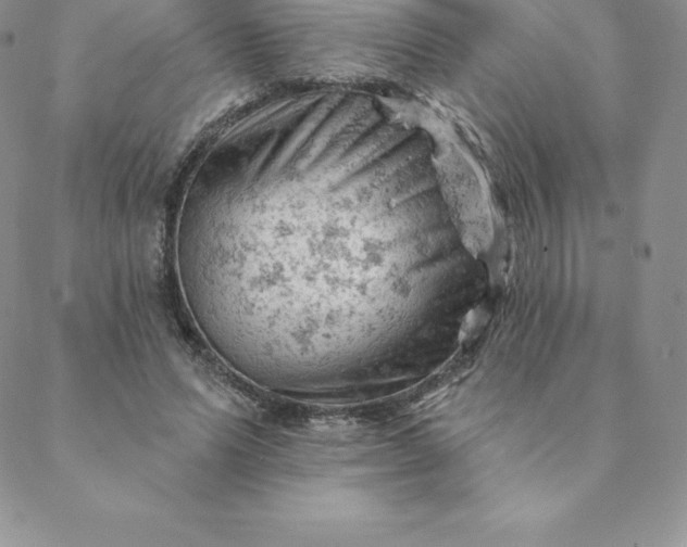 X0000088650591200706081639