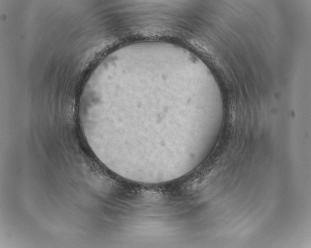 X0000088650592200706081639