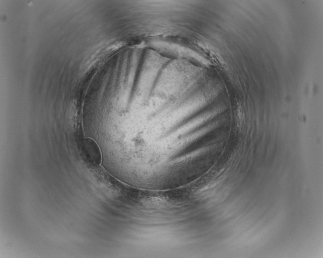 X0000088650594200706081639