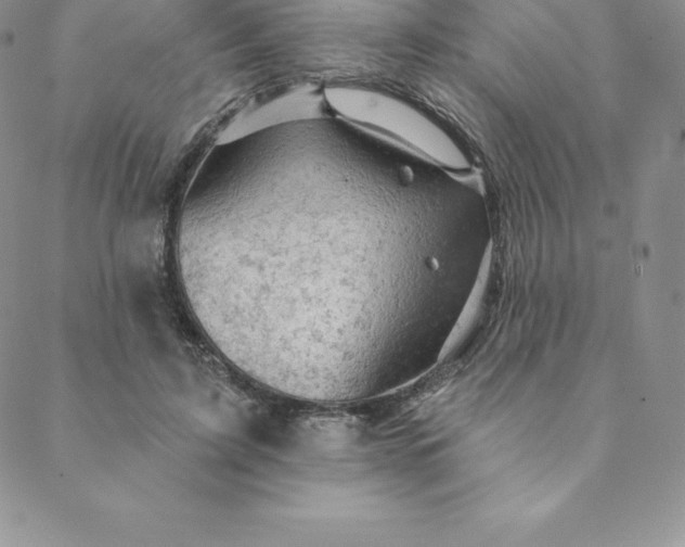 X0000088650595200706081639