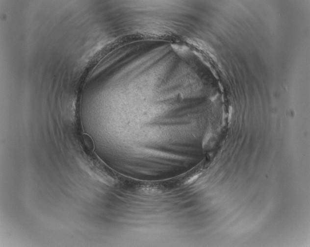 X0000088650596200706081639