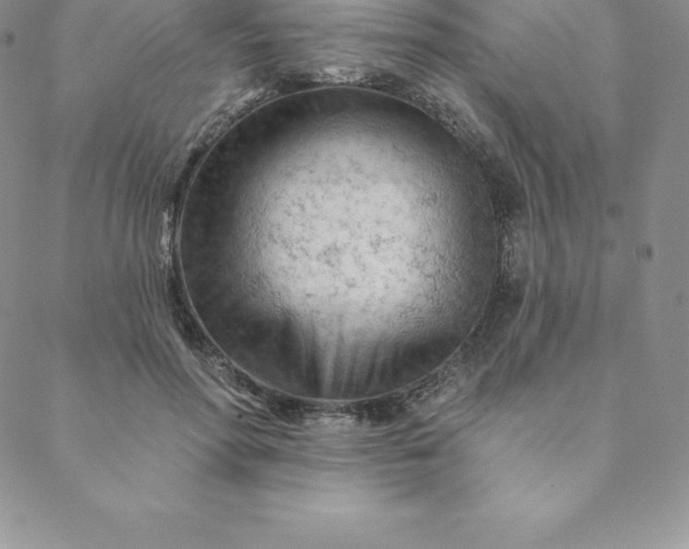 X0000088650598200706081639