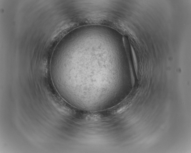 X0000088650599200706081639