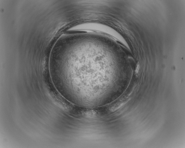 X0000088650600200706081639