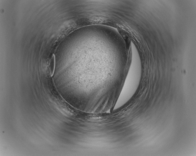 X0000088650601200706081639