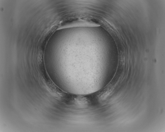 X0000088650603200706081639