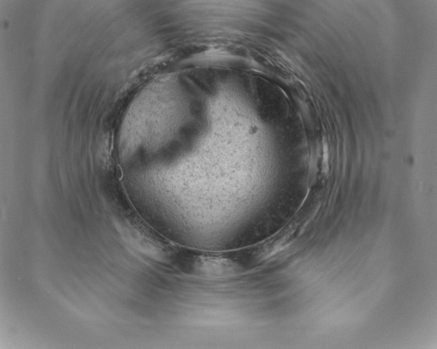 X0000088650605200706081639