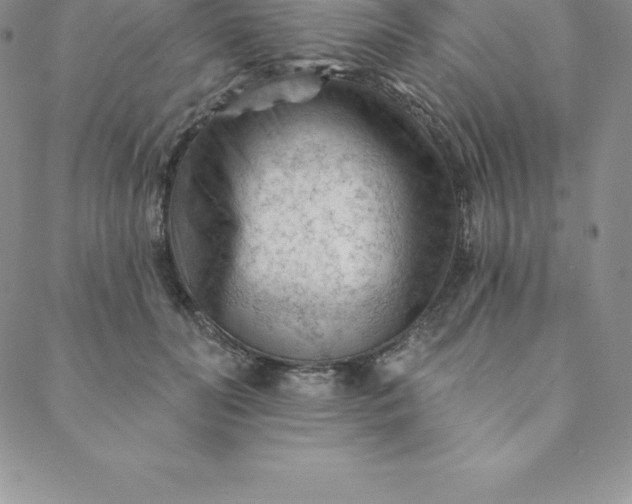 X0000088650606200706081639