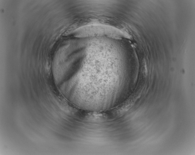 X0000088650607200706081639