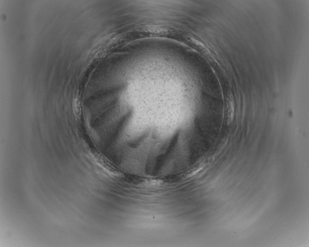 X0000088650609200706081639