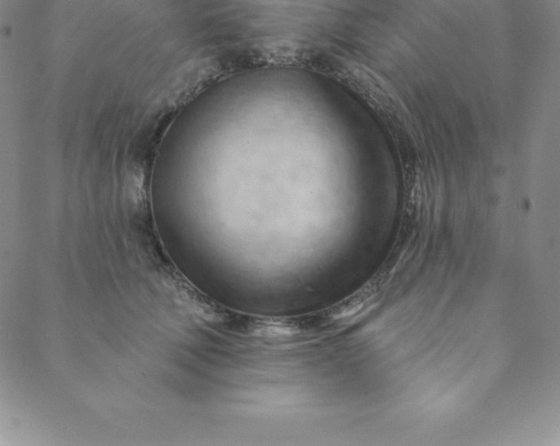 X0000088650610200706081639