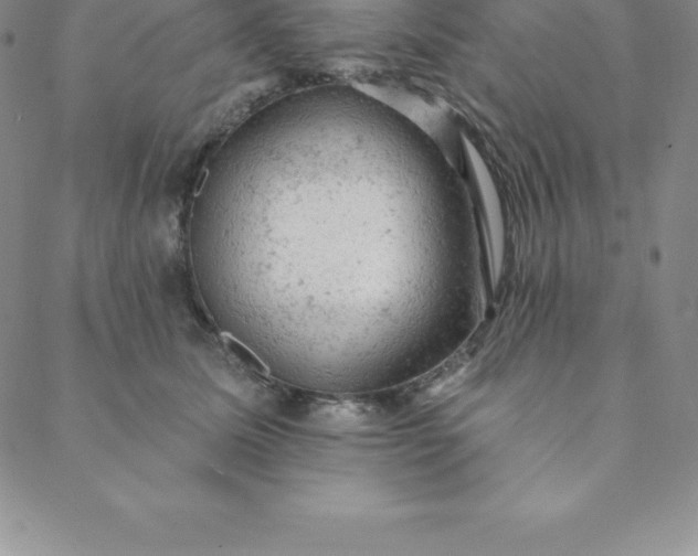 X0000088650611200706081639