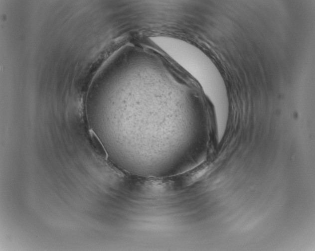 X0000088650613200706081639