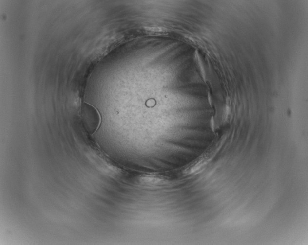 X0000088650614200706081639