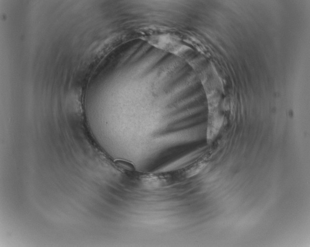 X0000088650616200706081639