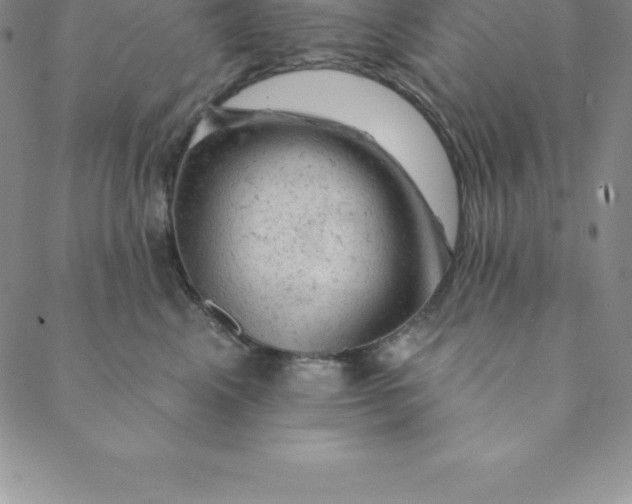 X0000088650617200706081639