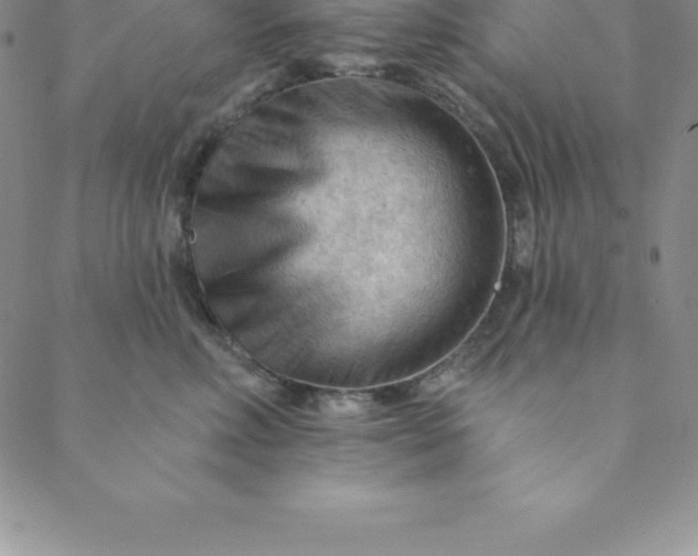 X0000088650618200706081639