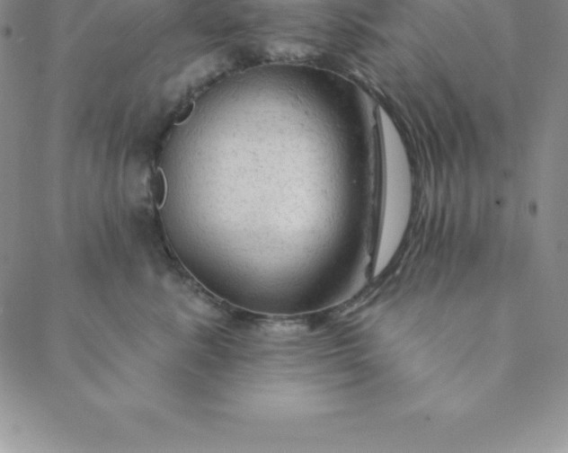 X0000088650619200706081639