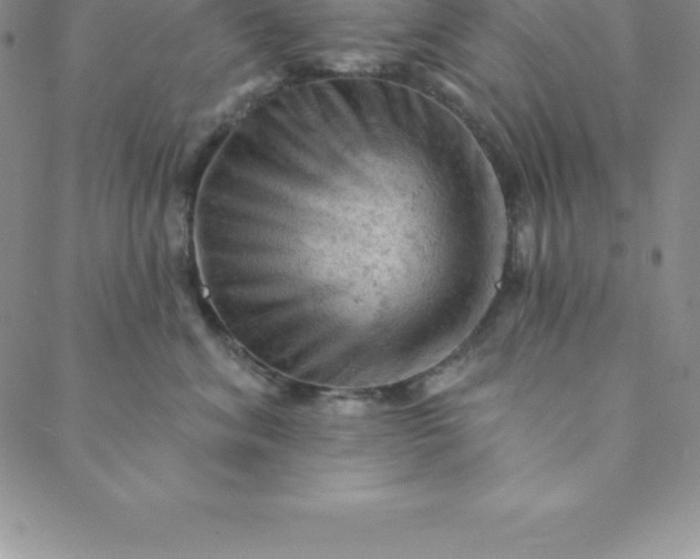 X0000088650620200706081639