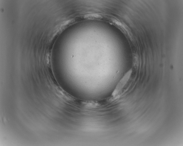 X0000088650621200706081639