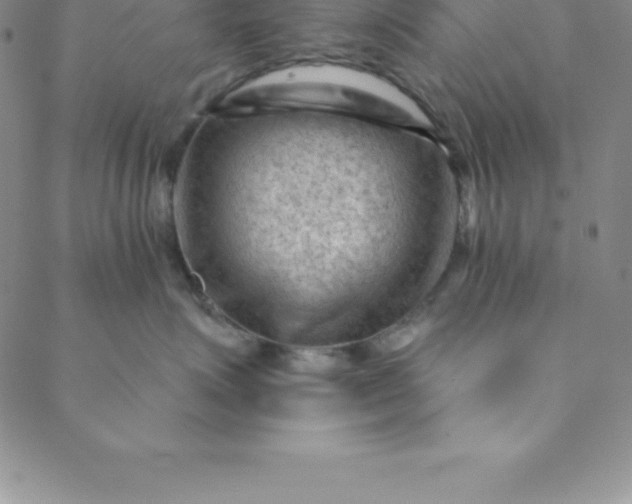 X0000088650623200706081639