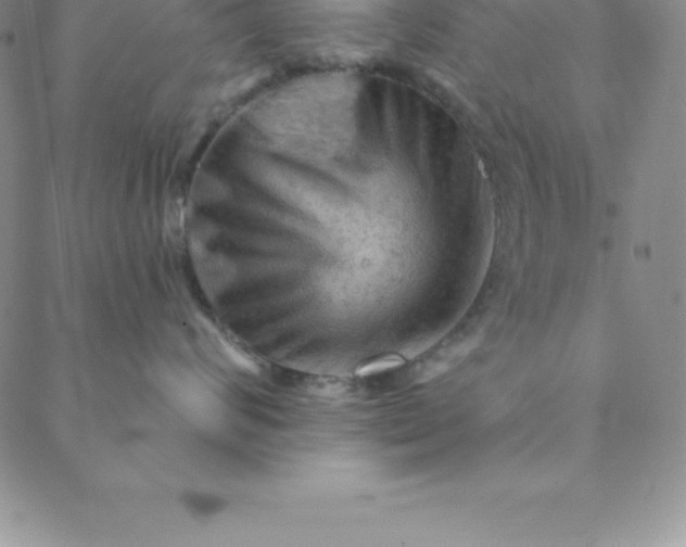 X0000088650624200706081639