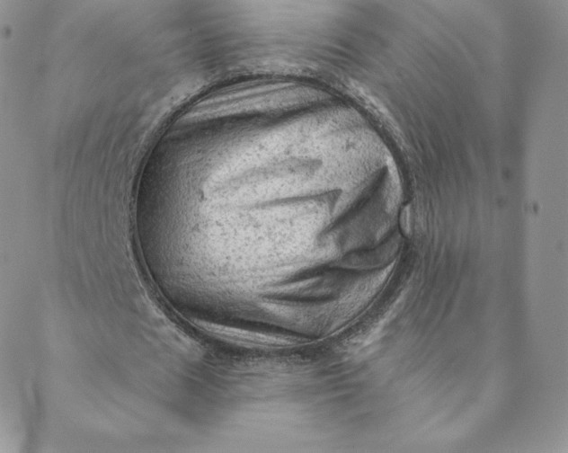 X0000088650625200706081638