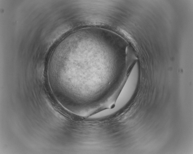 X0000088650627200706081638