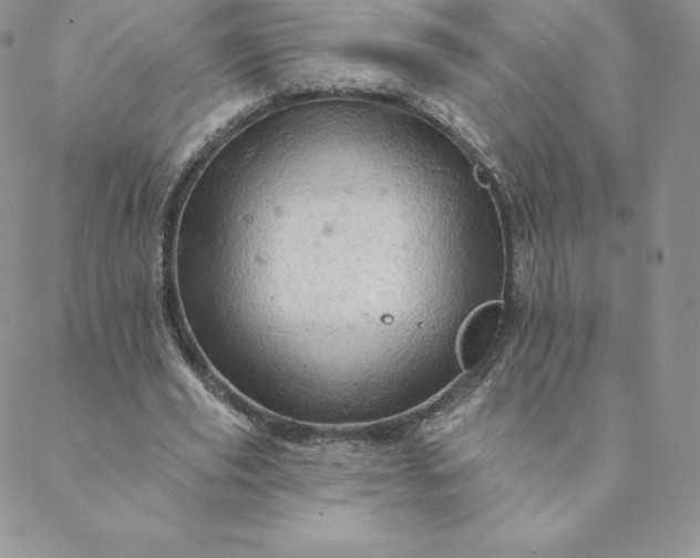 X0000088650629200706081638