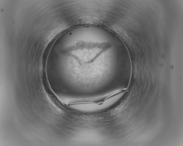 X0000088650630200706081638