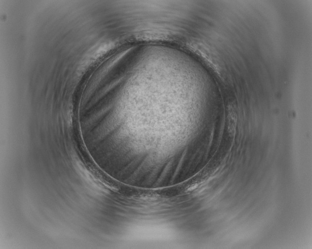 X0000088650631200706081638