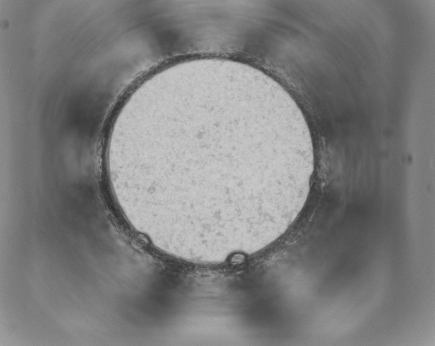 X0000088650632200706081638