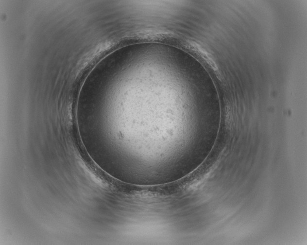 X0000088650633200706081638