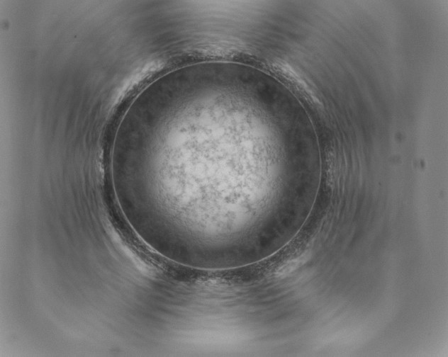 X0000088650634200706081638