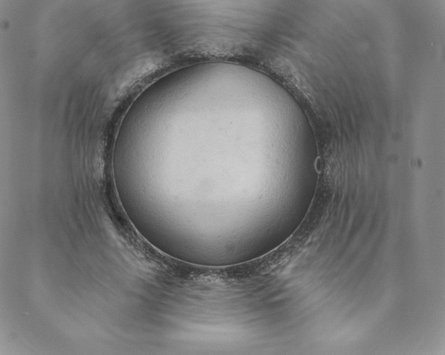 X0000088650635200706081638