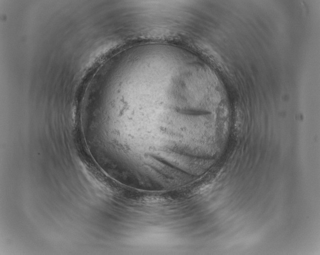 X0000088650636200706081638