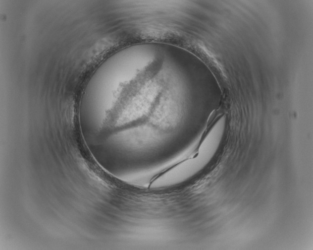 X0000088650637200706081638