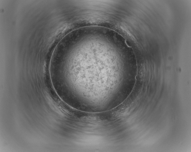 X0000088650639200706081638