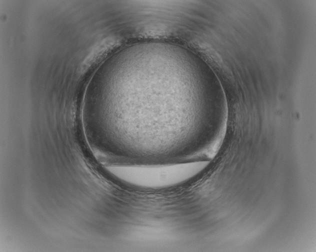 X0000088650640200706081638