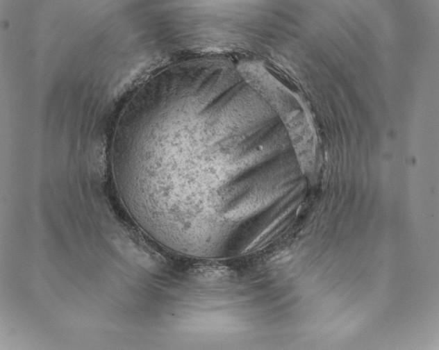 X0000088650642200706081638