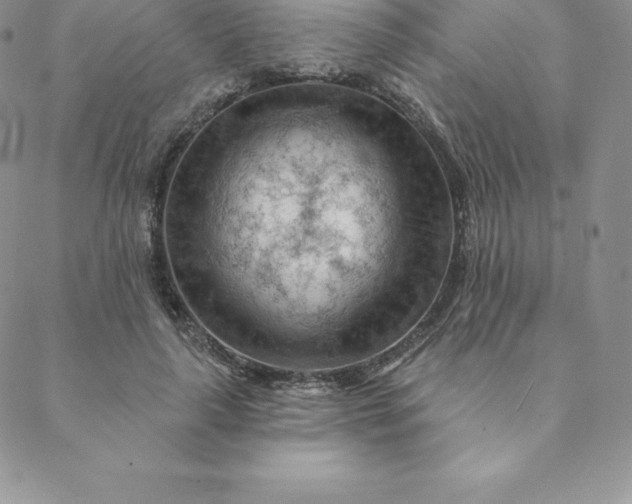 X0000088650643200706081638