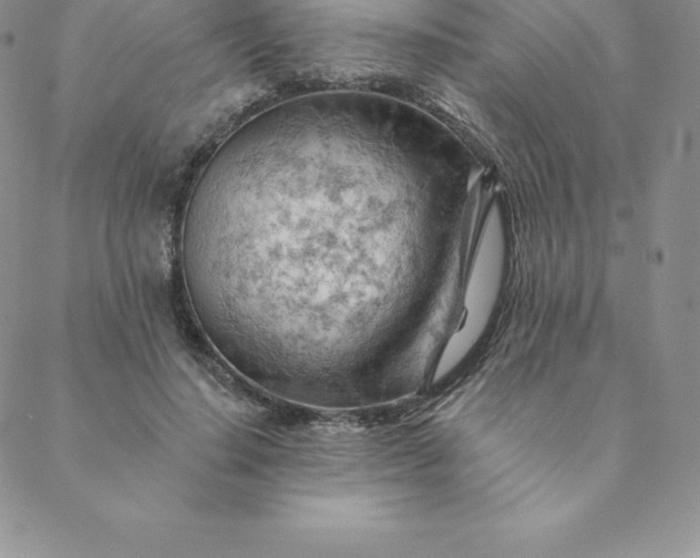 X0000088650644200706081638